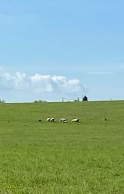 Стихи «природа»