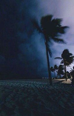 тексты песен