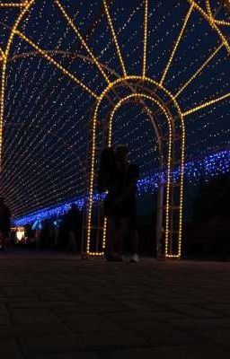 темная лисица и белый лис🦊