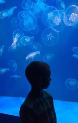 Необычный ребёнок 