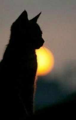 Вокруг Меня