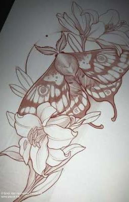 Секрет старой шкатулки 