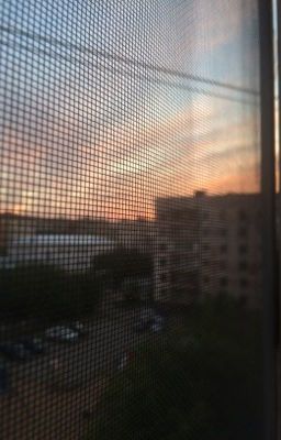 Венера и Марс