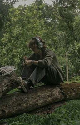 Тексты песен✨