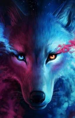 Потерянная принцесса оборотней (ЗАМОРОЖЕНО) 