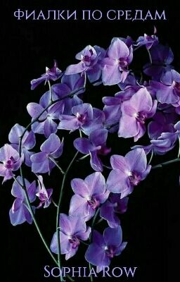 Фиалки по средам| Андре Моруа