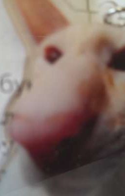 музыка нас связала🎶🎶