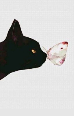 Страницы любви