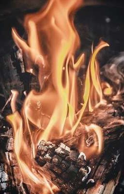 4/Хроники Нарнии. Что было потом?