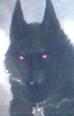 Злой пуделек || Сборник старых стихов