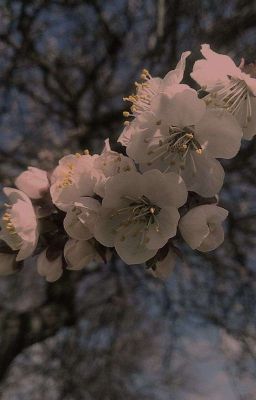 К чему приводит паб мадам Розмерты?