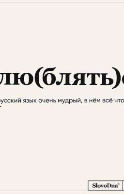 Два врага или лучшие друзья?