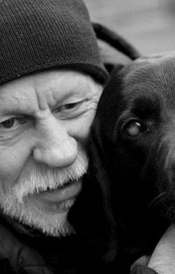 Белый снег, чёрный пёс.