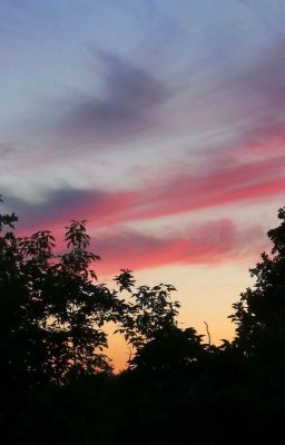 Приключение Лили