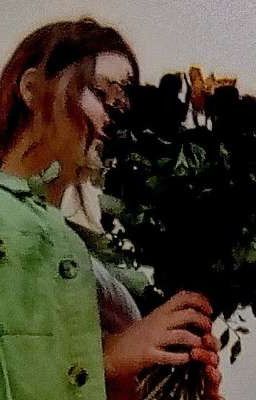 в поисках тишины 