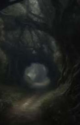 Подборка Мемы