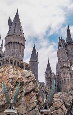 Wizards and Witches.