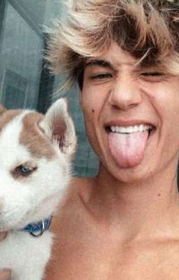 любовь или азарт? 