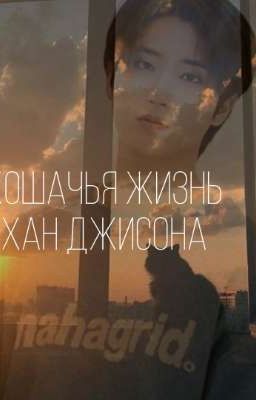Кошачья жизнь Хан Джисона