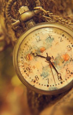 Философия дурака