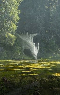 «Пламя проклятых теней»