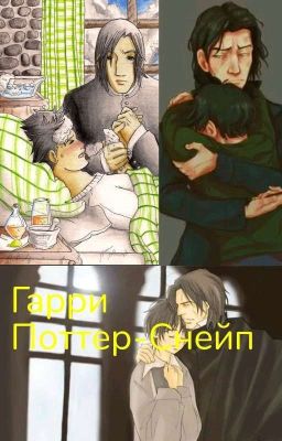 Гарри Поттер-Снейп