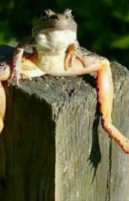 Не скрывай свои чувства