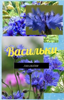 Васильки