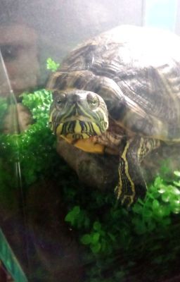 однажды в 9 в...