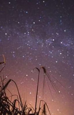 Хроместезия 