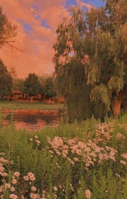 Место Встречи