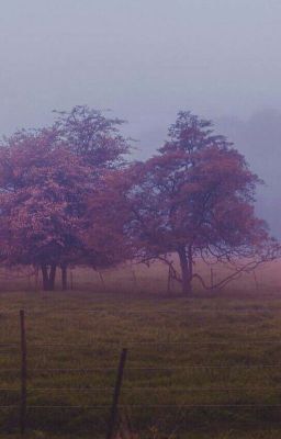 Сладкие поцелуи под дождем.