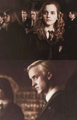 Ревность Драко