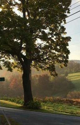 hometown [Han Jisung|Lee Minho]