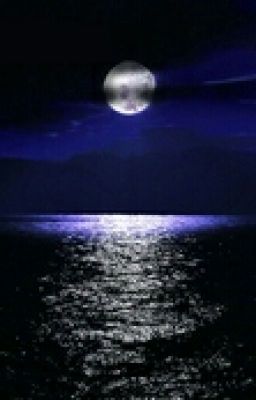 Белое солнце.