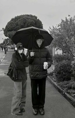 Не тронутые страницы // Парадеевич и Т/И