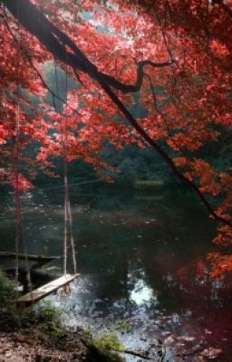 рана не затягивается...