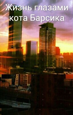 Жизнь глазами кота Барсика