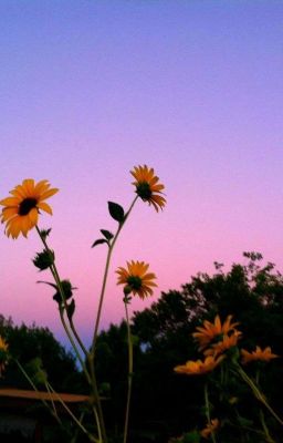 Плоть и кровь