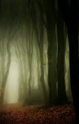 Тайны тёмного леса