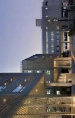 Университет Любви или дебилов....