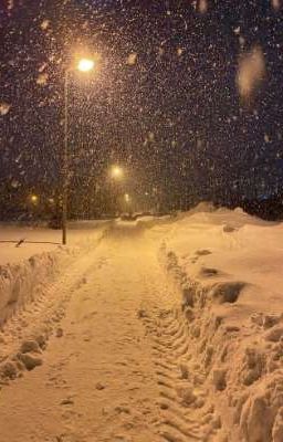 забытые воспоминания 