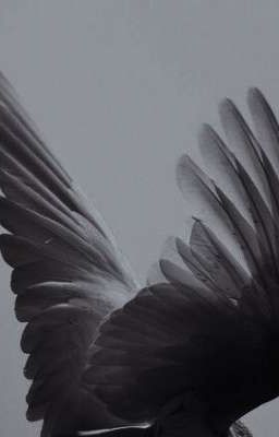 Квартет с крыльями