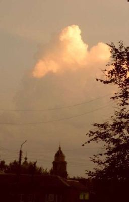 Вчера я видела сон