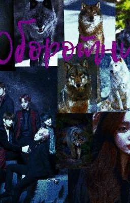 Оборотни и вампиры