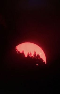 Двоиточее на шее...🥀