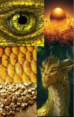 Легенда о желтом Драконе (том 1)