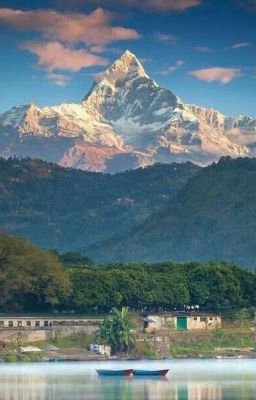 Любой ценой!