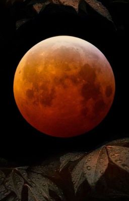 Счастливая Кража🔞