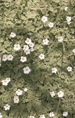 Жуткие рассказы найденные в Интернете :›